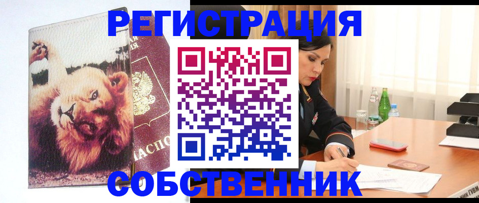 прописка от собственника в Белгороде